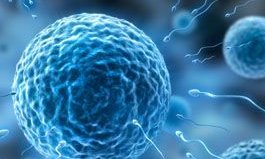 做上海三代试管婴儿具体步骤有哪些？