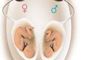 2026年温州哪家医院生殖科能做试管婴儿